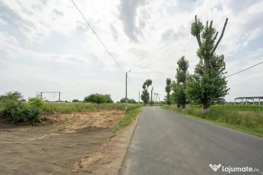 Teren în Bălăceanca