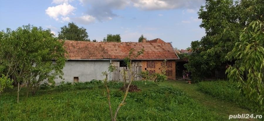 Casă cu 2 camere cu Teren 4384 Mp în Ilișua