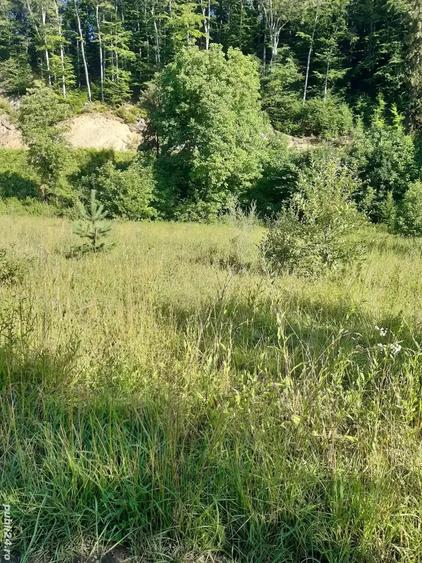 Teren de 1500 mp, în Central