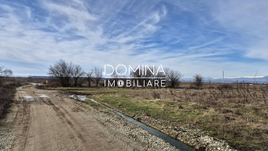 Teren Construcții intravilan de 5000 mp, în Dănești
