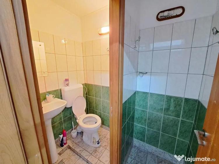 Spațiu comercial, de 62 mp, în Timișoara