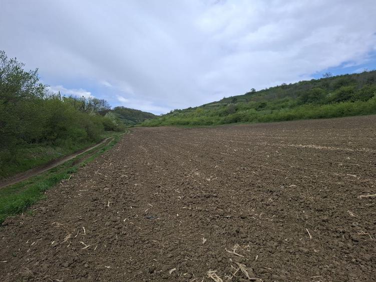 Teren intravilan de 400 mp, în Rășinari