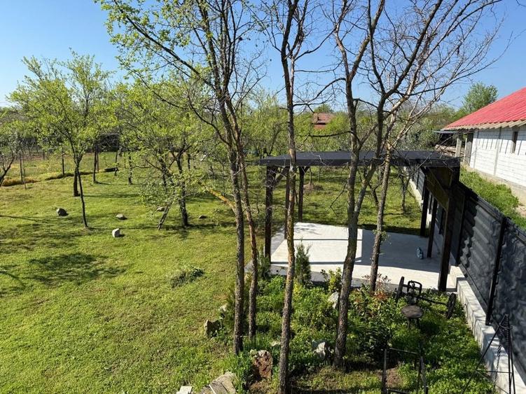 Teren de 974 mp, în Dobromira