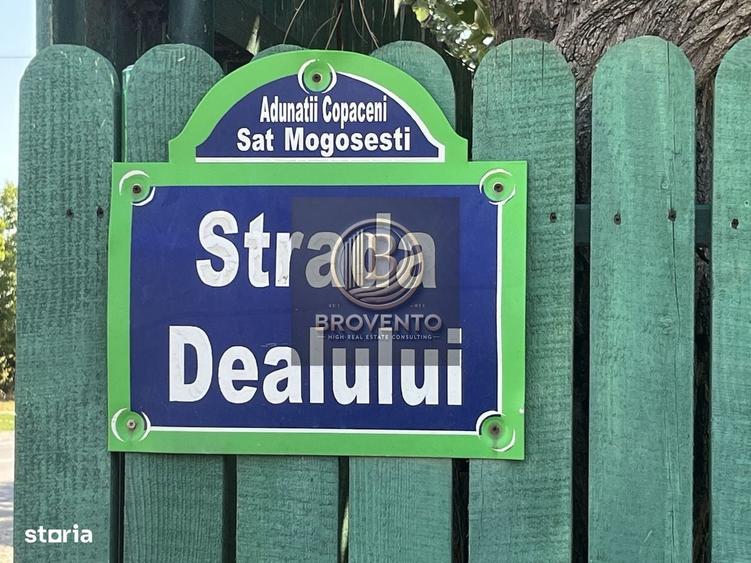 Spațiu comercial, în Mogoșești