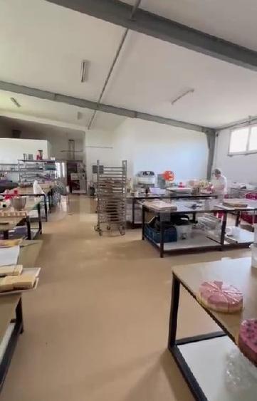 Spațiu industrial, de 1,880 mp, în Botizului