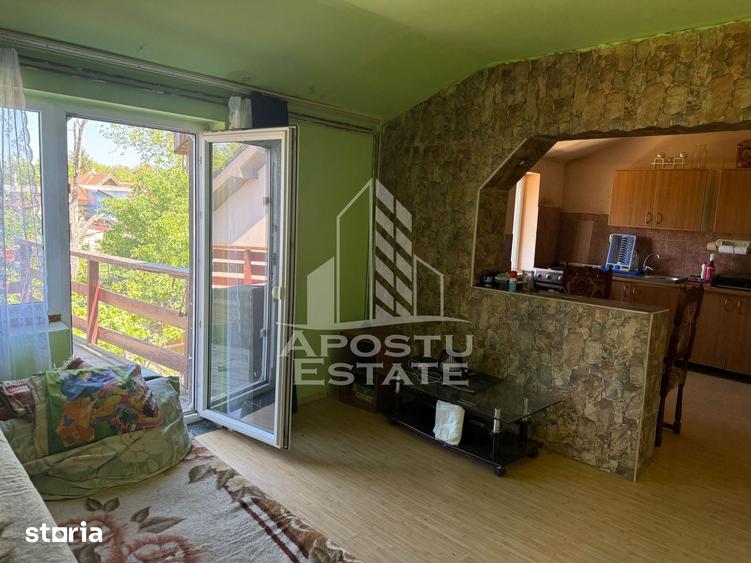 Casă cu 7 camere cu Teren 360 Mp în Buziașului