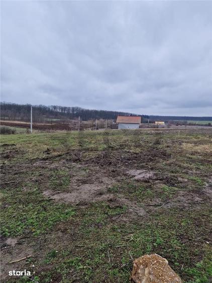 Teren de 500 mp, în Nojorid