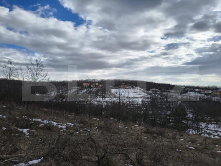 Teren Construcții intravilan de 10000 mp, în Păulești