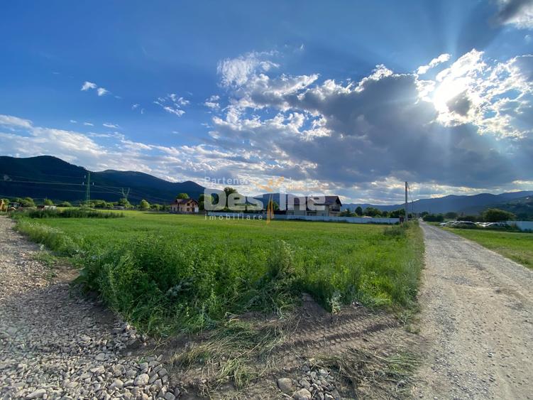 Teren Construcții intravilan de 735 mp, în Alexandru cel Bun
