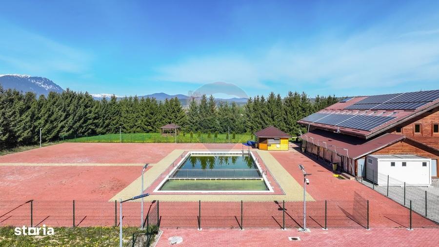 Spațiu comercial, de 2,950 mp, în Pănicel
