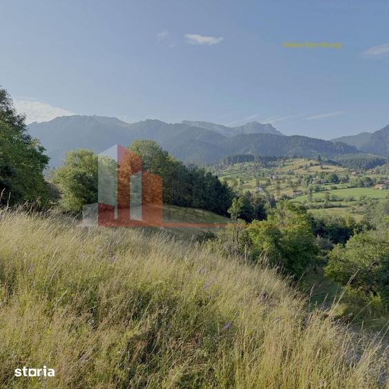 Teren de 10398 mp, în Bran