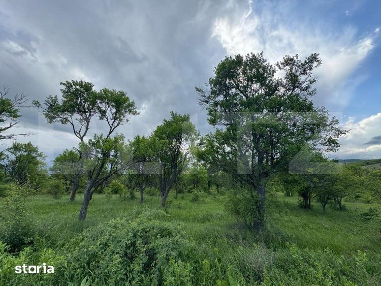 Teren extravilan de vanzare, 5305 mp, in apropiere de Hateg - 2