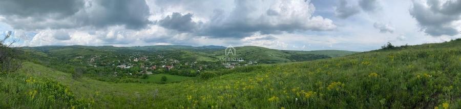 Teren Construcții intravilan de 15900 mp, în Fințești