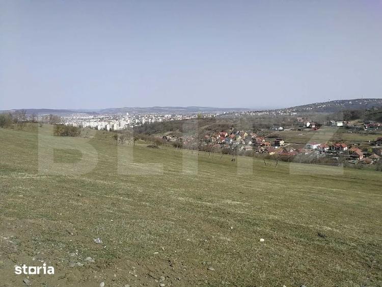 Teren de 15904 mp, în Dâmbu Pietros