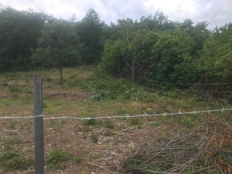 Teren Construcții intravilan de 1100 mp, în Micești
