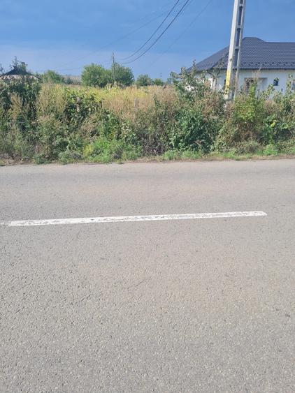 Teren de 3000 mp, în Negostina