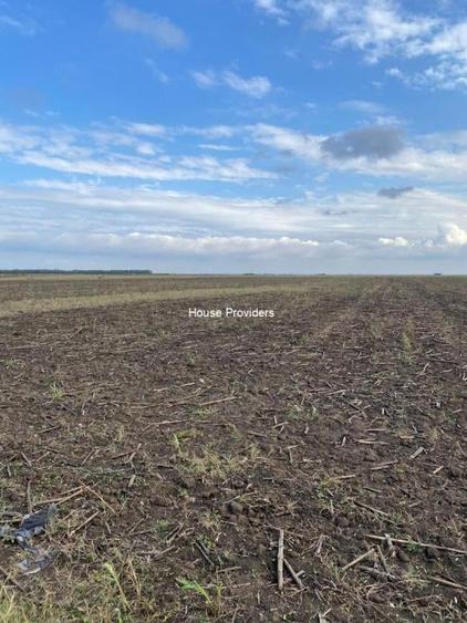 Teren agricol extravilan de 7500 mp, în Bunloc