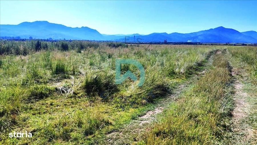 Comision ZERO, Vanzare teren , zona Tabara, DN 73 - Brasov - 6