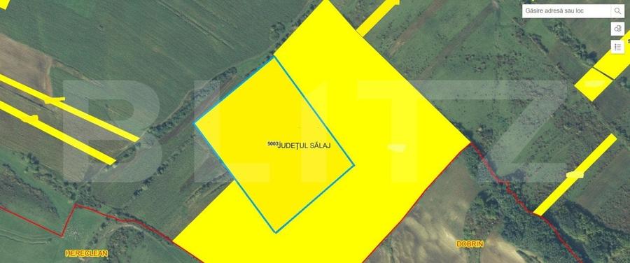 Teren agricol extravilan de 87000 mp, în Sălățig