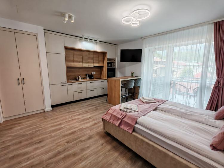 Garsoniera tip studio mobilat utilat - bloc 2023 --- Green Future Sinaia - 3