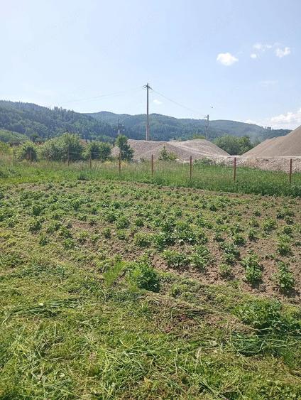 Teren de 4700 mp, în Central