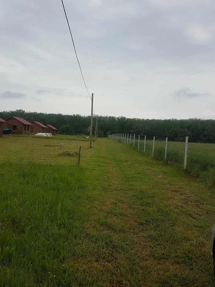 Teren de 320 mp, în Central