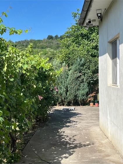 Casă cu 6 camere cu Teren 1000 Mp în Țuglui