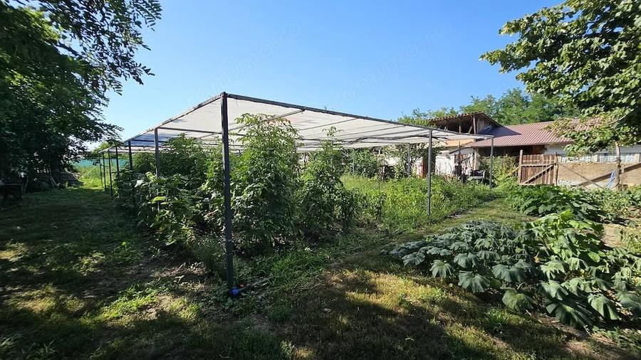 Casă cu 4 camere cu Teren 1912 Mp în Munteni-Buzău