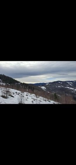 Vand Teren la muntele rece - 3