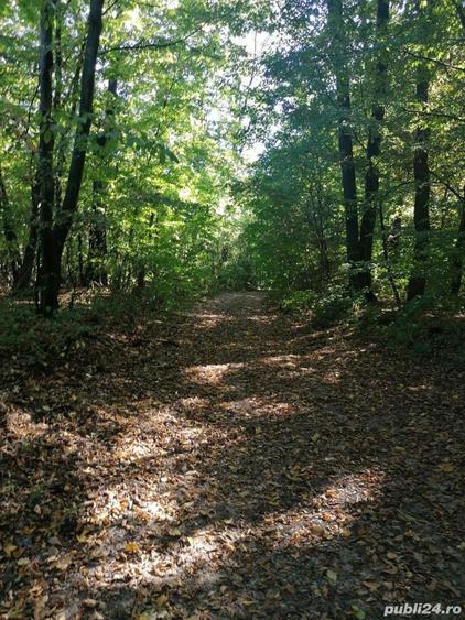 Teren de 4350 mp, în Bălteni