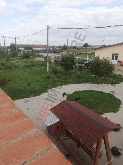 Ferma Zootehnică– Satchinez,  | 9,5 ha teren,vanzare sau schimb pentru jumatate - 7