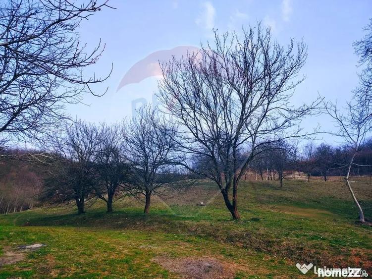 Teren în Remecioara
