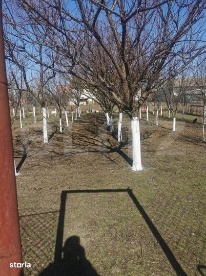 Casă cu 6 camere cu Teren 1500 Mp în Central