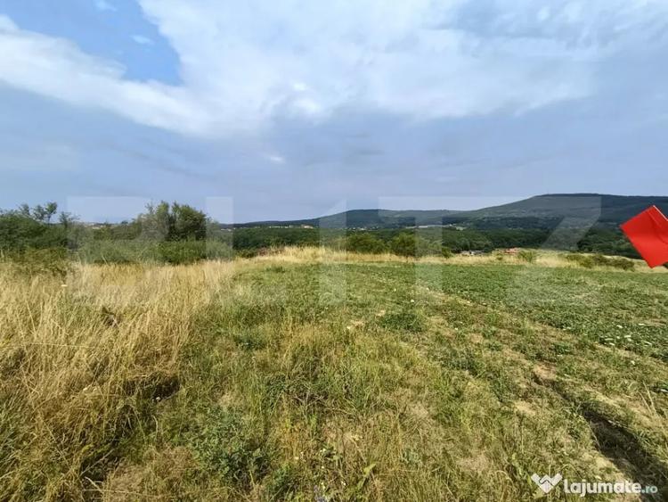 Teren de 6500 mp, în Central