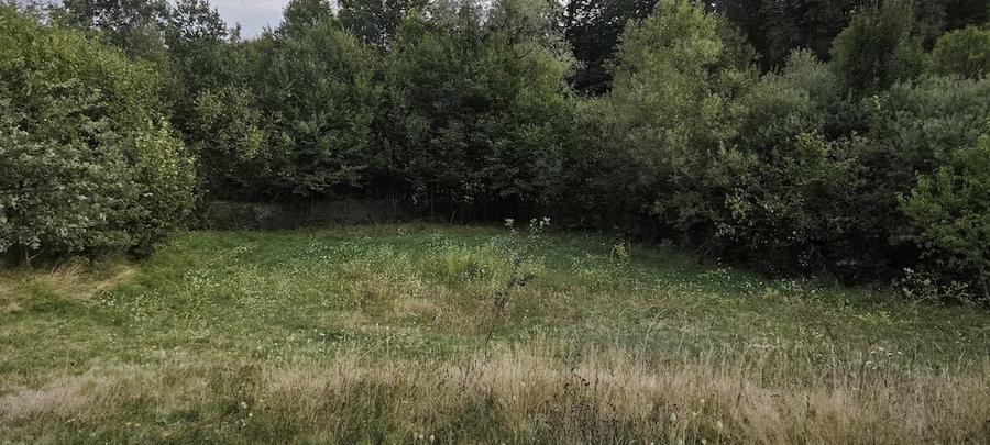 Casă cu Teren 5200 Mp în Rus