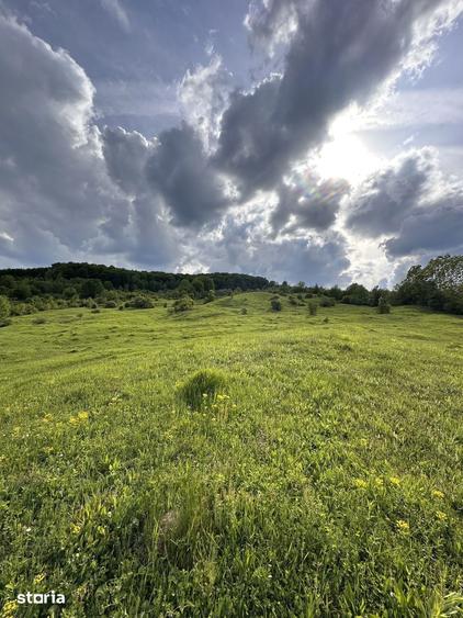 Se vinde Proprietate Premium 11,5 ha teren intravilan si constructii - 7