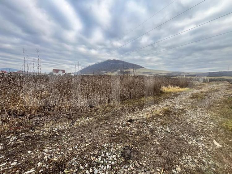 Teren Construcții intravilan de 1000 mp, în Exterior Sud