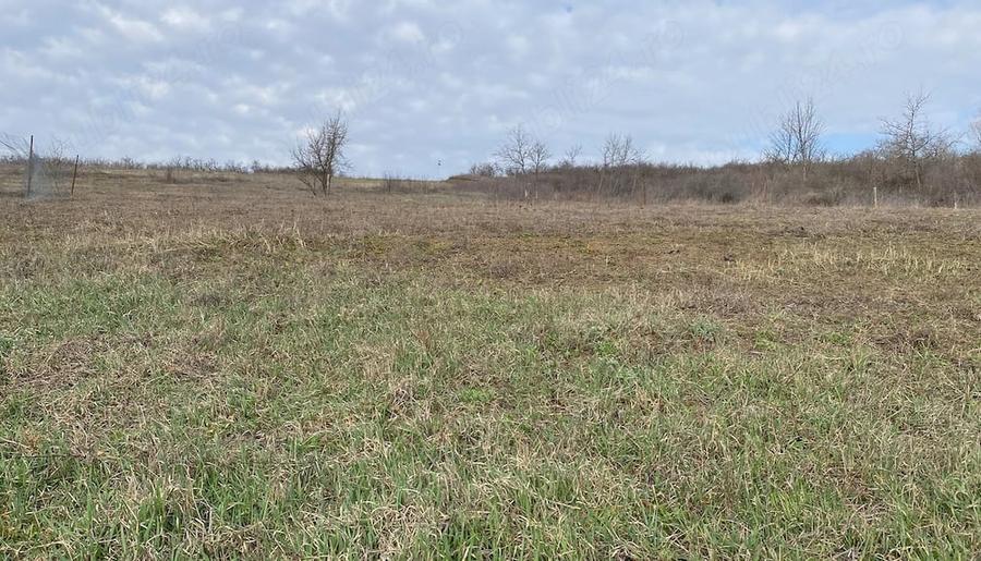 Teren extravilan (2025 PUZ intravilan) 2500 mp parcelabil, Hlincea- Juvat, 35euro mp, drum asfaltat - 4