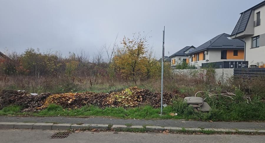 Teren Construcții intravilan de 9931 mp, în Odăi