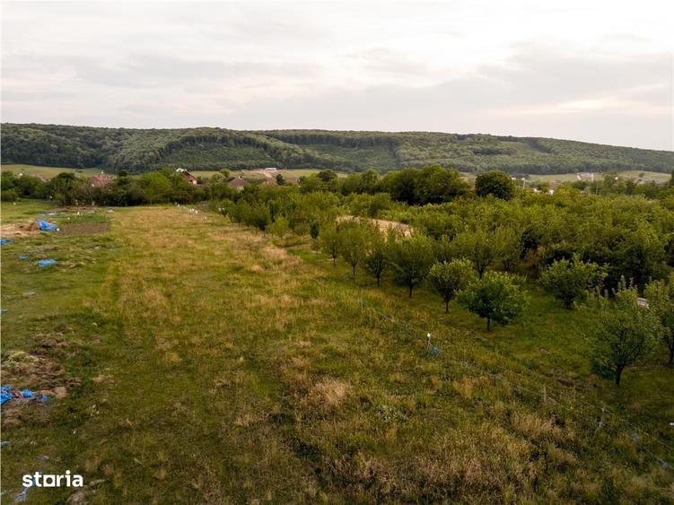 RECO Teren intravilan de vanzare Betfia, Bihor - 3000 mp, front strada - 4