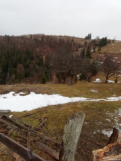 Teren în Mărișel
