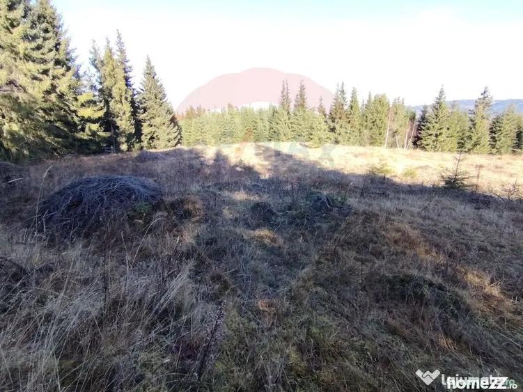 Teren de 16289 mp, în Coverca