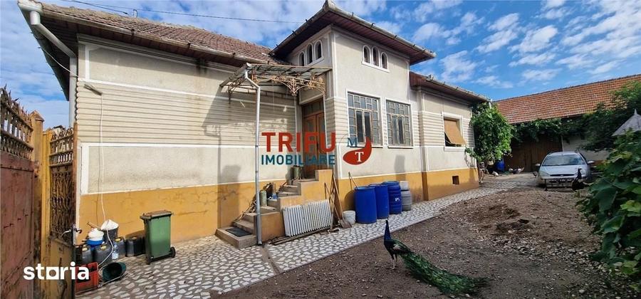 Casă cu 3 camere cu Teren 1252 Mp în Ighiu