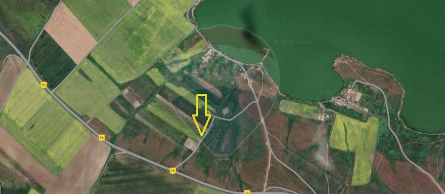 Teren agricol extravilan de 5000 mp, în Nord