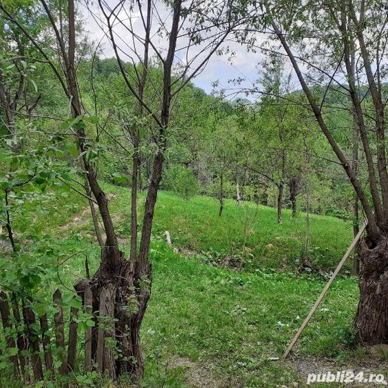 Teren de 5150 mp, în Șotrile