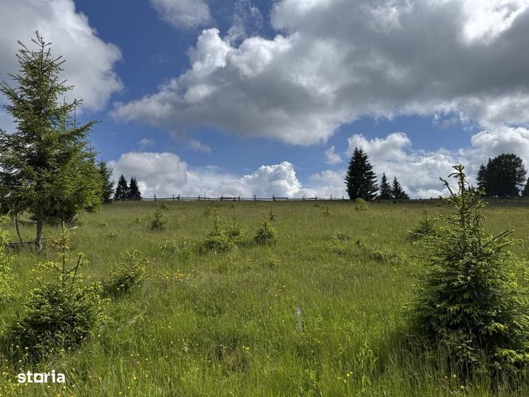 2 Ha teren cu intravilan pe Via Transilvanica; Bucovina - 3