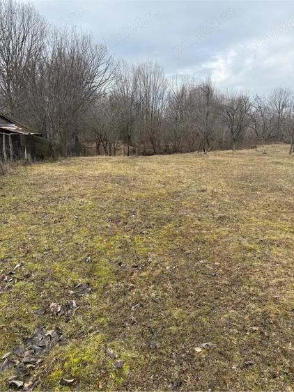 Teren de 4000 mp, în Ștubeiu