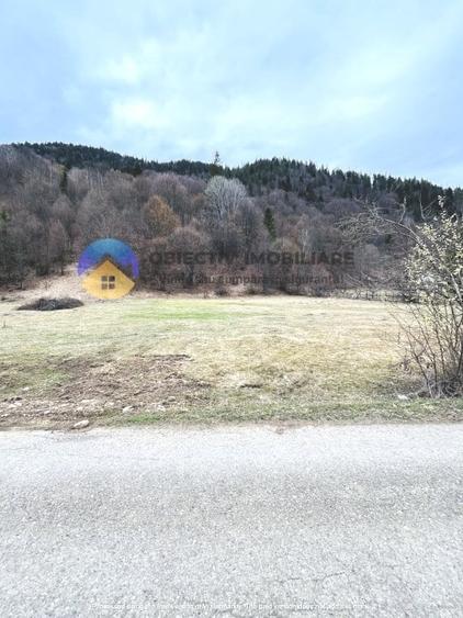 Teren intravilan de 2207 mp, în Tarcău