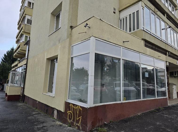 Spațiu comercial, de 107 mp, în Drumul Carului