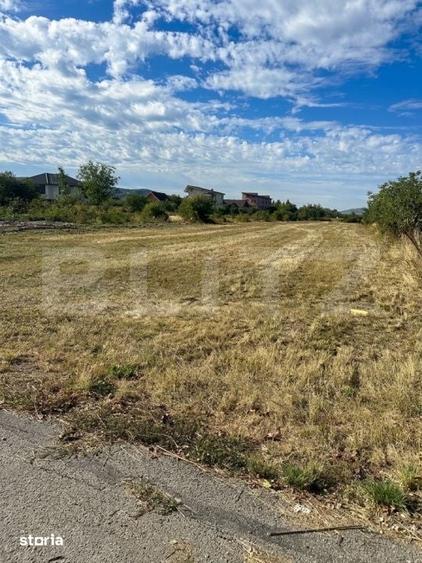 Teren de 5500 mp, în Central